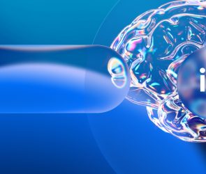 Ilustración 3D de un cerebro digital de cristal sobre un fondo azul vibrante con una esfera que contiene las letras "iA", representando el aprendizaje en inteligencia artificial.